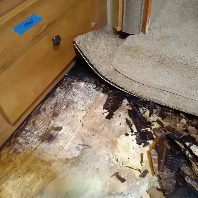 Wood Floor Water Damage in Denver, CO